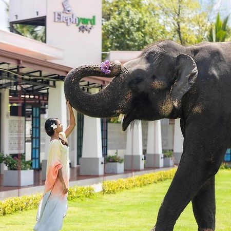 Elephyard Retreat Hotel Mahiyanganaya Eksteriør billede